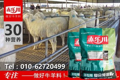 肉羊催肥料精应用指南与信息咨询服务解析